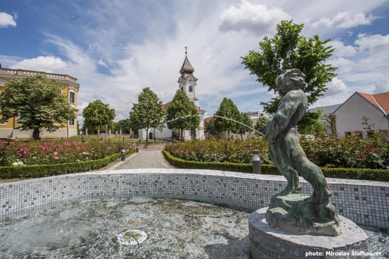 Vila Rosa Vukovar Bed & Breakfast Bagian luar foto