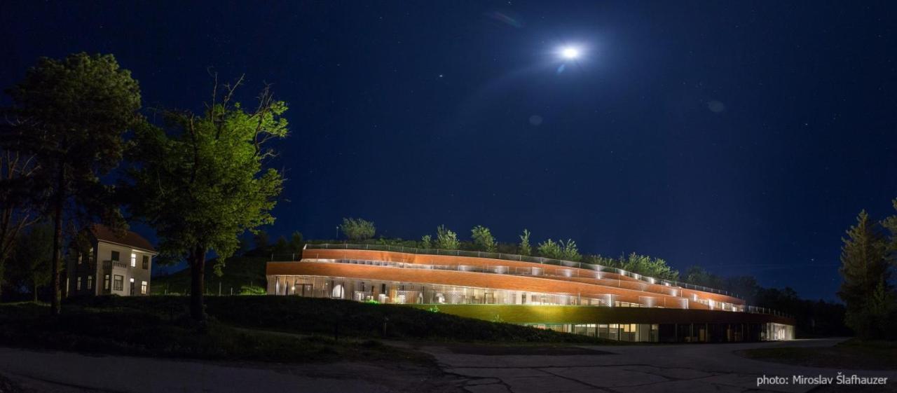 Vila Rosa Vukovar Bed & Breakfast Bagian luar foto