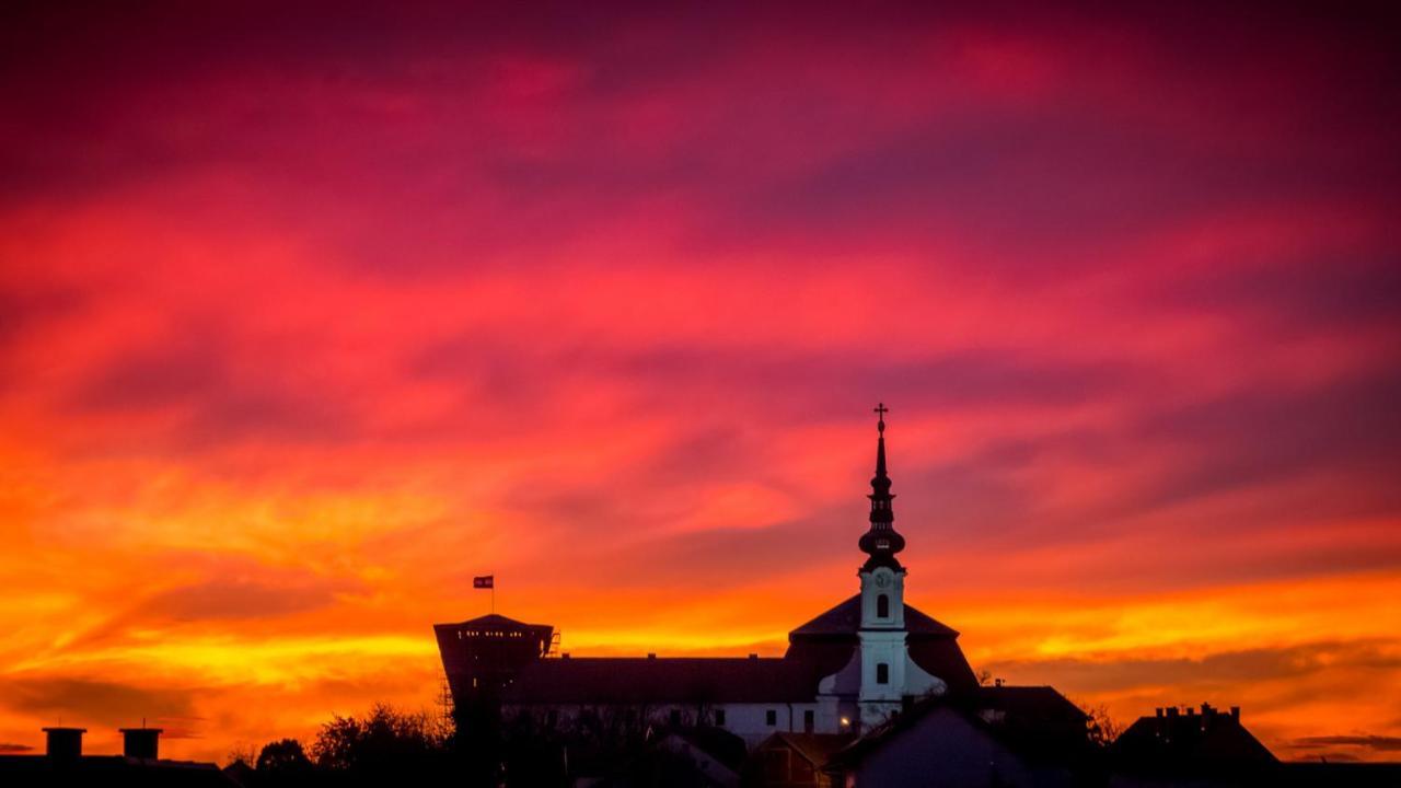 Vila Rosa Vukovar Bed & Breakfast Bagian luar foto