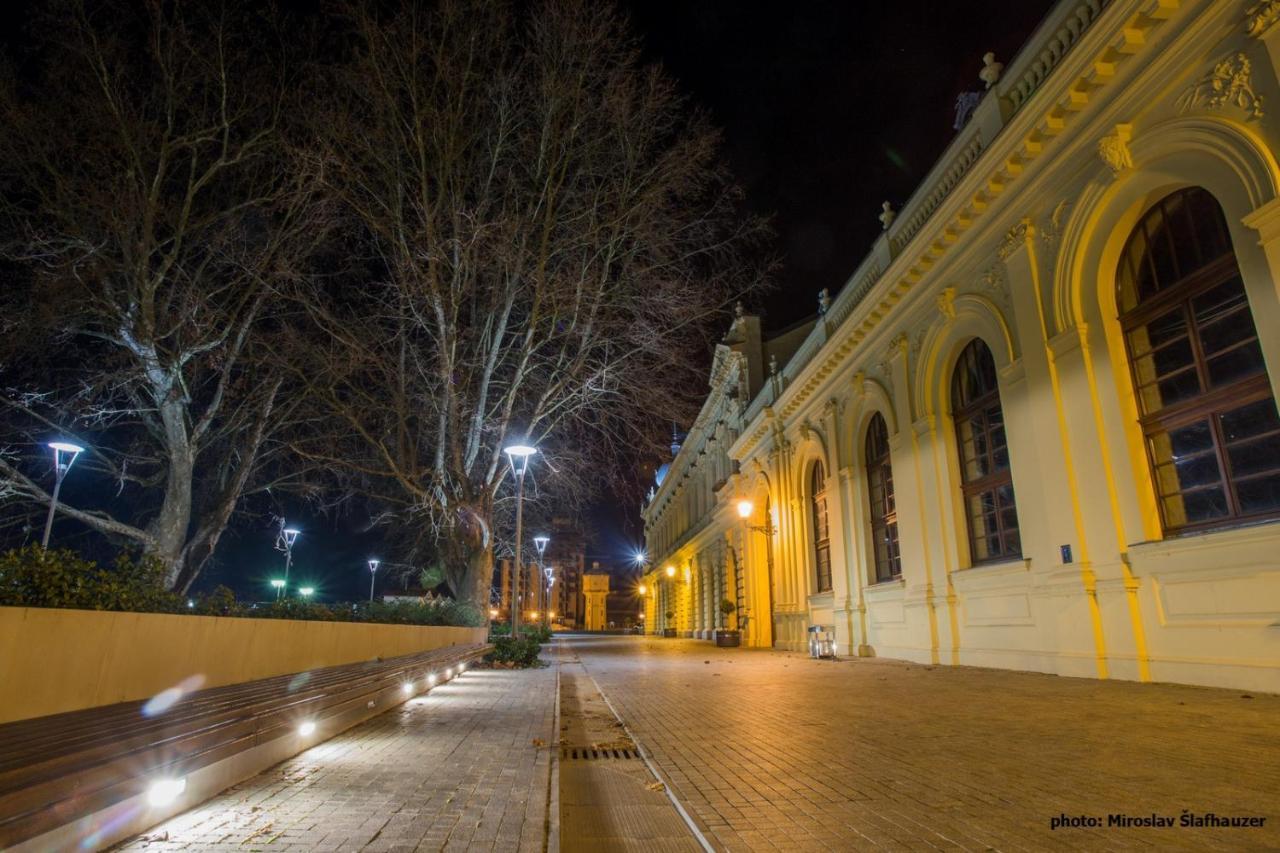 Vila Rosa Vukovar Bed & Breakfast Bagian luar foto